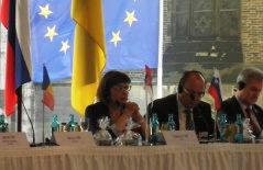 12 July 2013 MP Maja Gojkovic at the First Conference of Danube Parliamentarians